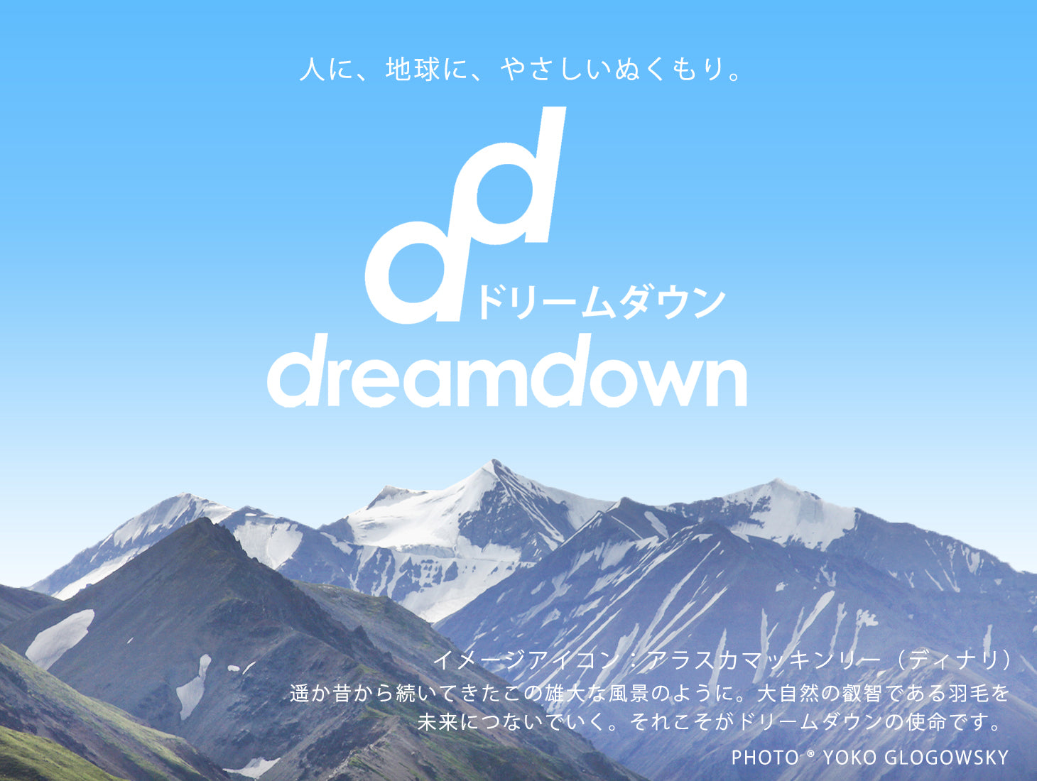羽毛布団無料回収サービス開始