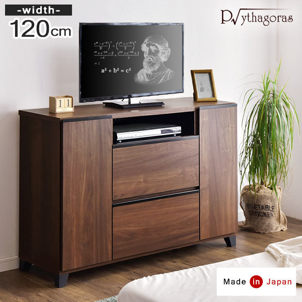 幅120cm テレビ台 ハイタイプ 国産 完成品 *ピタゴラス-TG* 【超大型商品】〔24900014〕