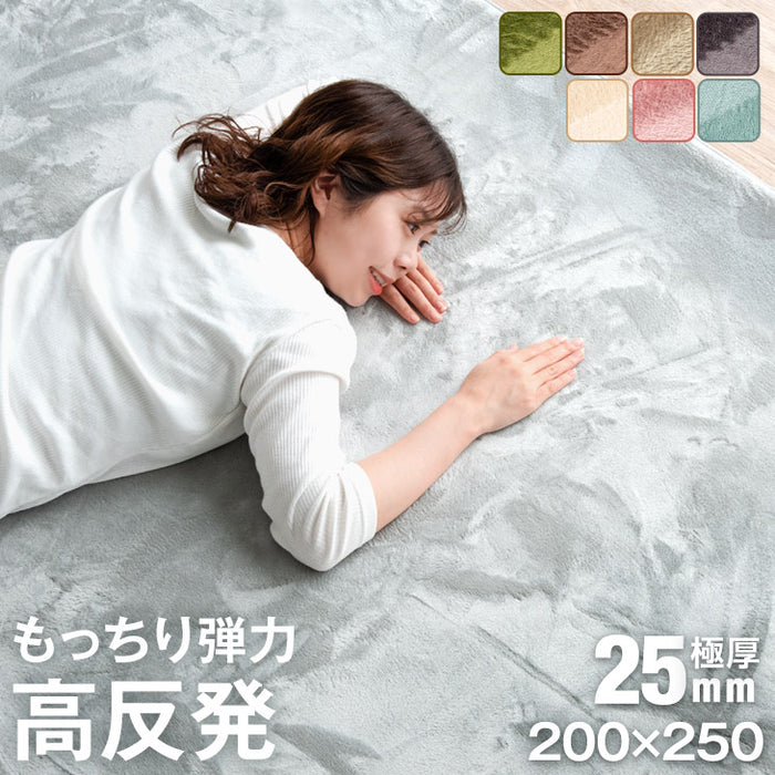 200×250cm 極厚25mm 高反発ラグ フランネル生地 防音 床暖房対応 滑り止め付 〔65010003〕
