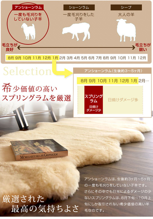 ムートンラグ 約180×210 日本製 厚手 抗菌 防ダニ 10匹物 洗濯できる〔87250040〕