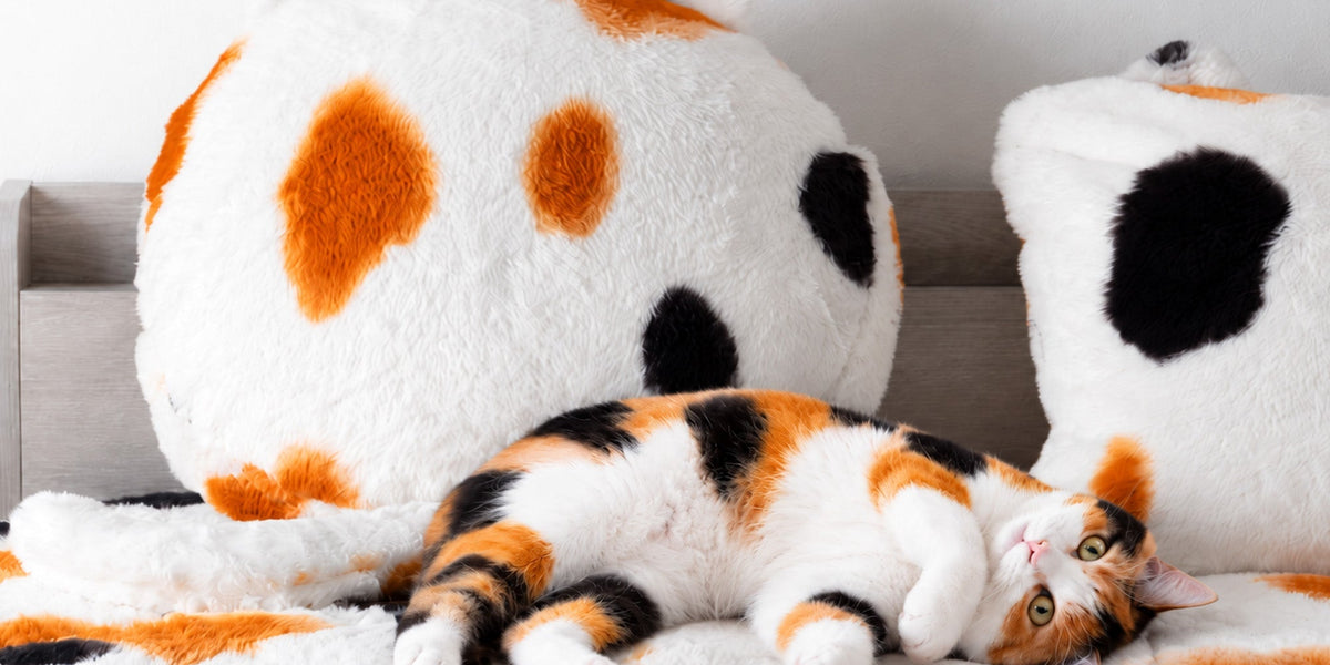 もはや、ねこ。』に“三毛猫”登場 — 【公式】タンスのゲン本店 - 家具
