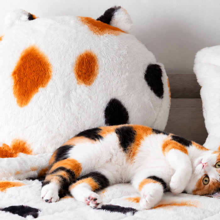 『もはや、ねこ。』に“三毛猫”登場