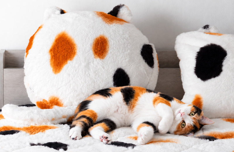もはや、ねこ。』に“三毛猫”登場 — 【公式】タンスのゲン本店 - 家具