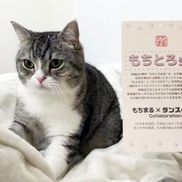アンバサダー『もちまる』との新商品発売