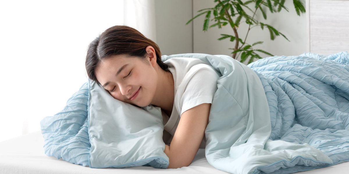 お部屋に癒しの緑を！ 育てやすい人気のファーン 1_41ad3071-3fb5-4dae-aaf9-