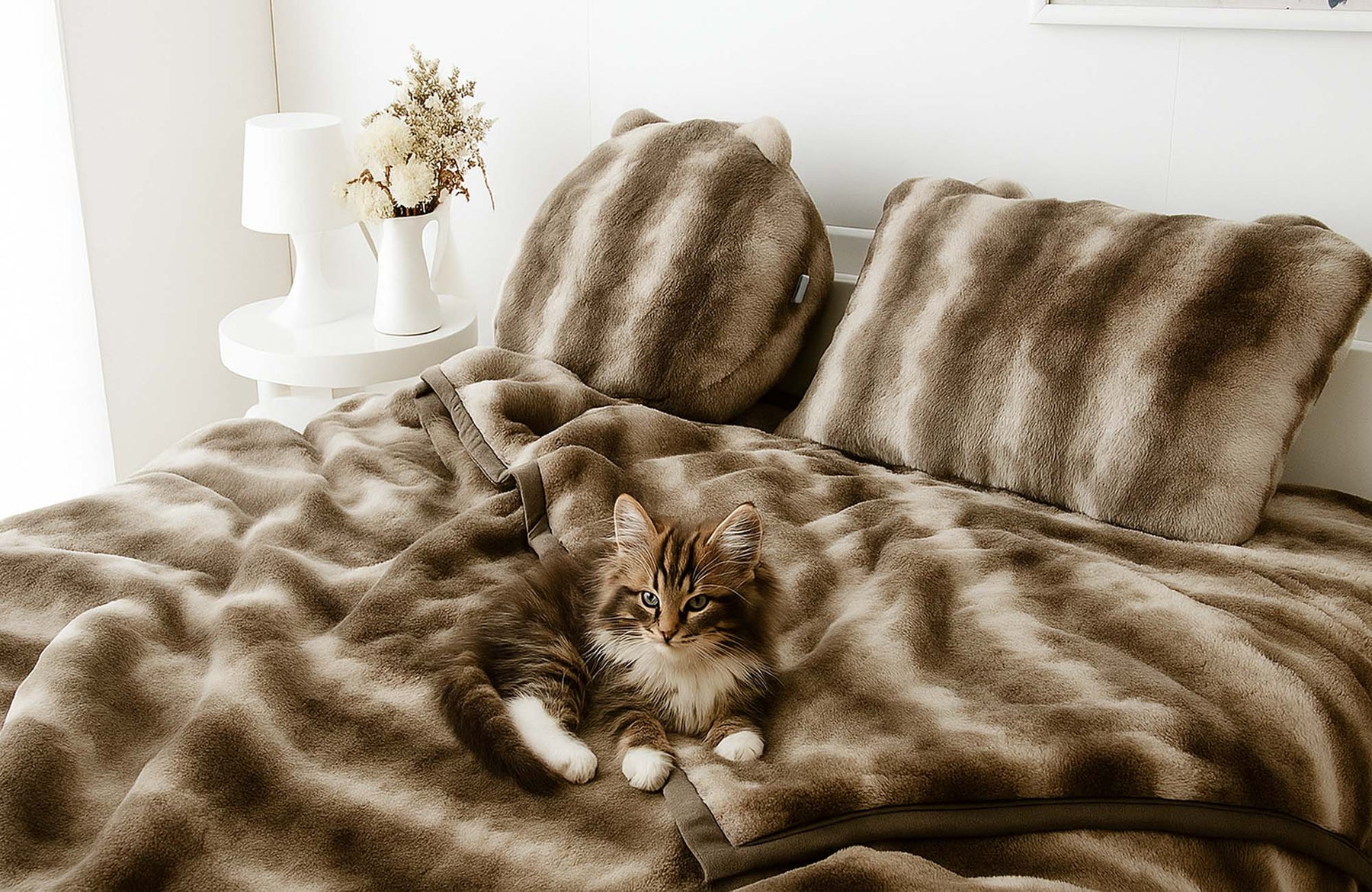 もはや、ねこ。に新猫モデルが登場