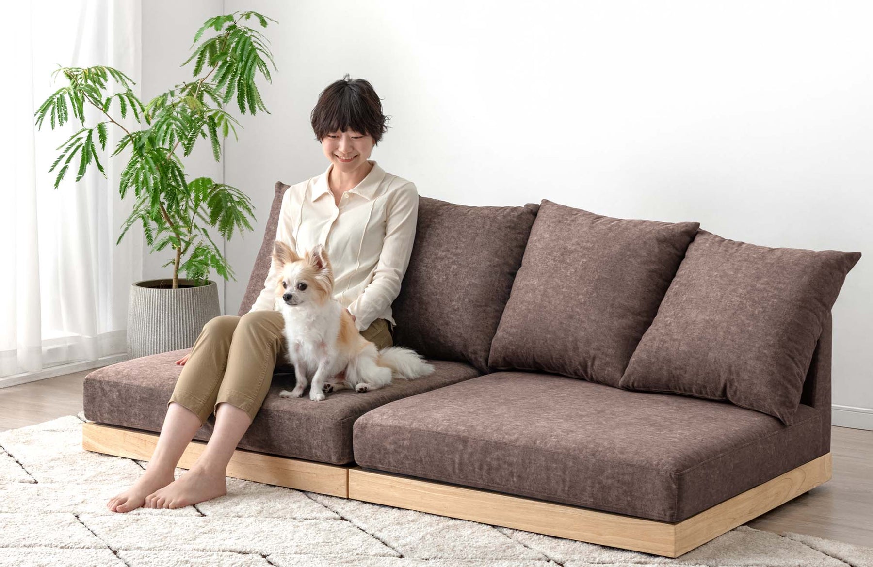 ペット対応　洗えるフロアソファが登場