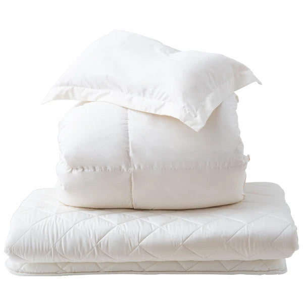 11月6日（金）の日記