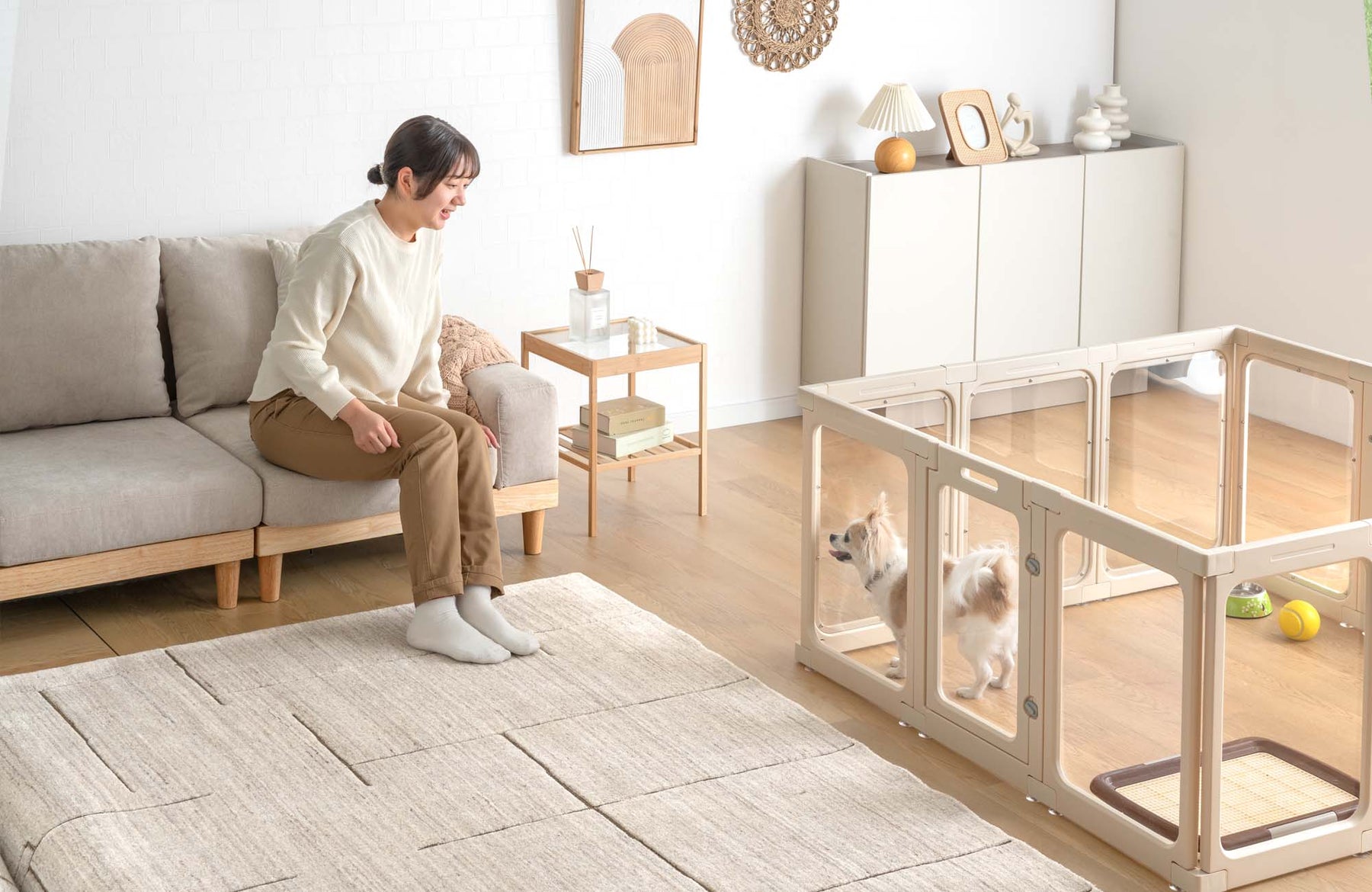 クリアペットサークルが新登場