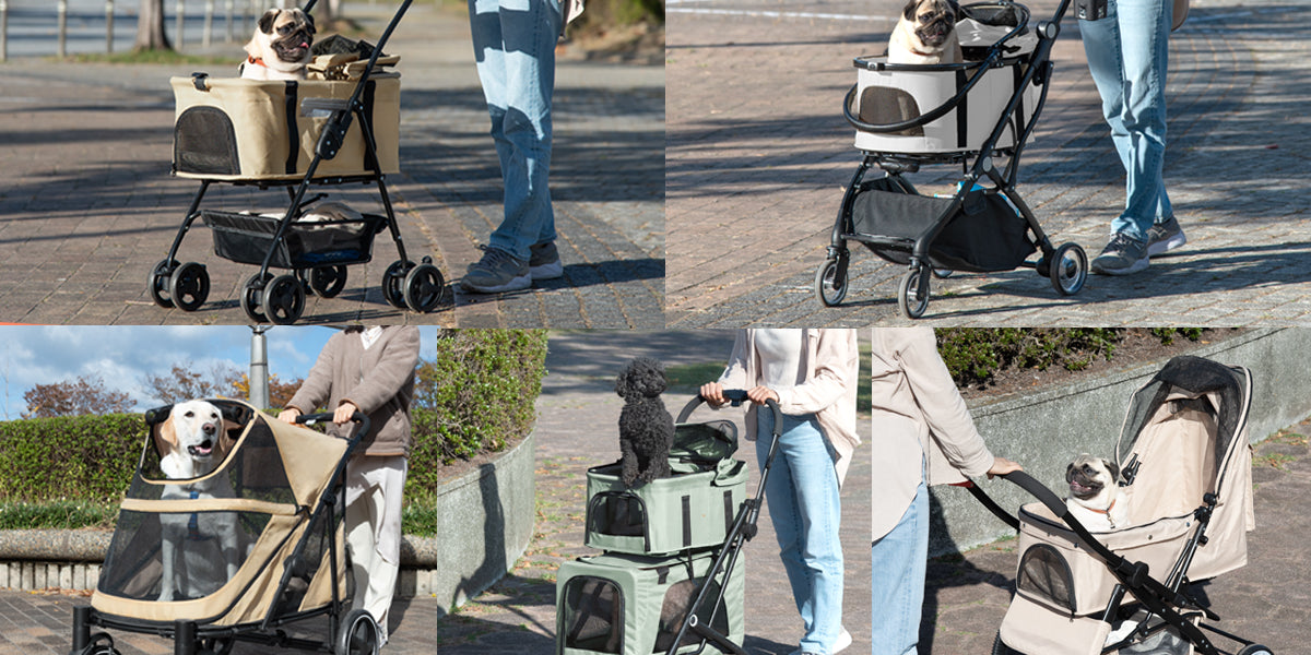 main_0149da48-84d7-4ffb-8bc3-