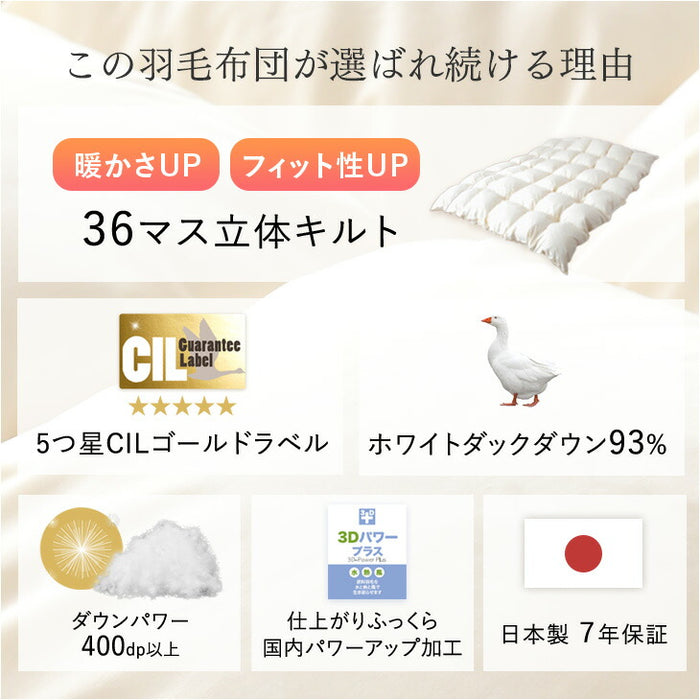 [シングル] 羽毛布団 ホワイトダックダウン93％ CILゴールドラベル 30マス立体キルト 400dp以上 アレルGプラス＆洗浄度1200 かさ高400dp以上 日本製〔10119003〕