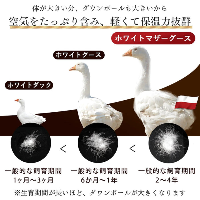 ［シングル］ ポーランド産 マザーグース 95％ 羽毛布団 増量1.3kg  440dp以上 日本製 7年保証 〔10119083〕