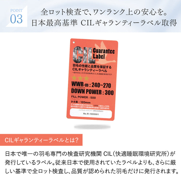 ［ダブルロング 2枚組］洗える 肌掛け布団 羽毛 日本製 ダックダウン85％ 30マス立体キルト ダウンケット 夏 夏用 布団〔10119468〕