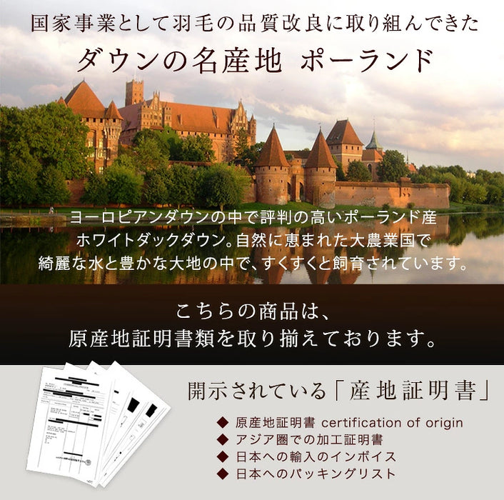 《お宝プライス》［シングル］羽毛布団 洗える ゴールドラベル ダウン93％ 立体キルト 400dp以上 日本製 軽量 暖かい〔11100463〕