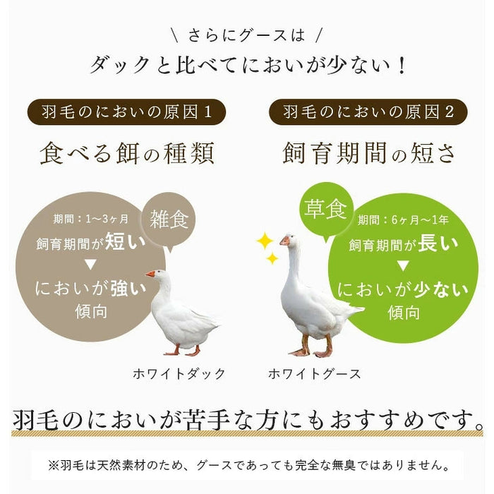 《2026スペシャル》 ［シングル］柄任せ 羽毛布団 グースダウン90％ ハンガリー産 30マス立体キルト コインランドリーで洗える 収納ケース付〔11100471〕
