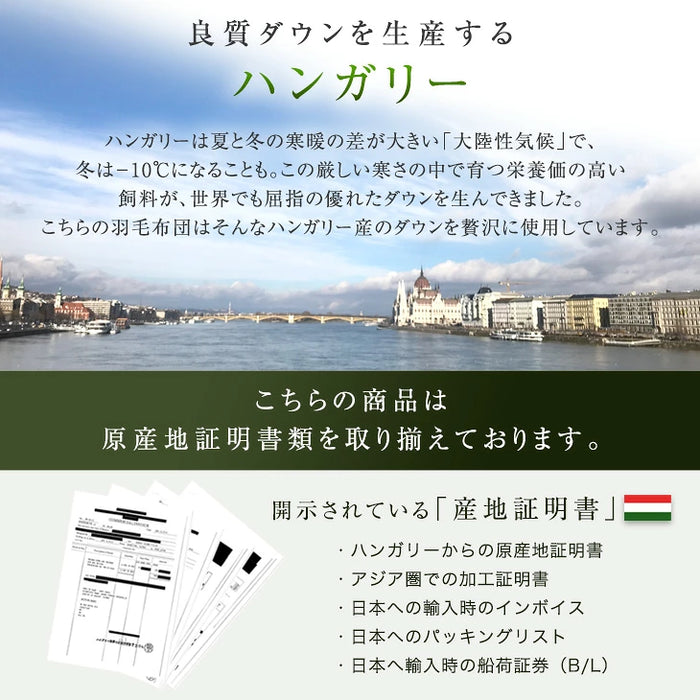 《2026スペシャル》 ［シングル］柄任せ 羽毛布団 グースダウン90％ ハンガリー産 30マス立体キルト コインランドリーで洗える 収納ケース付〔11100471〕