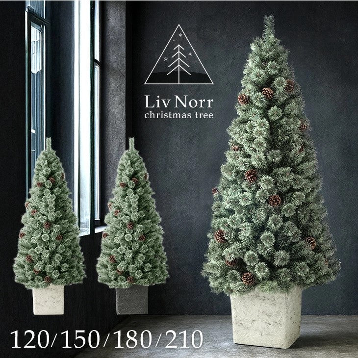 クリスマスツリー