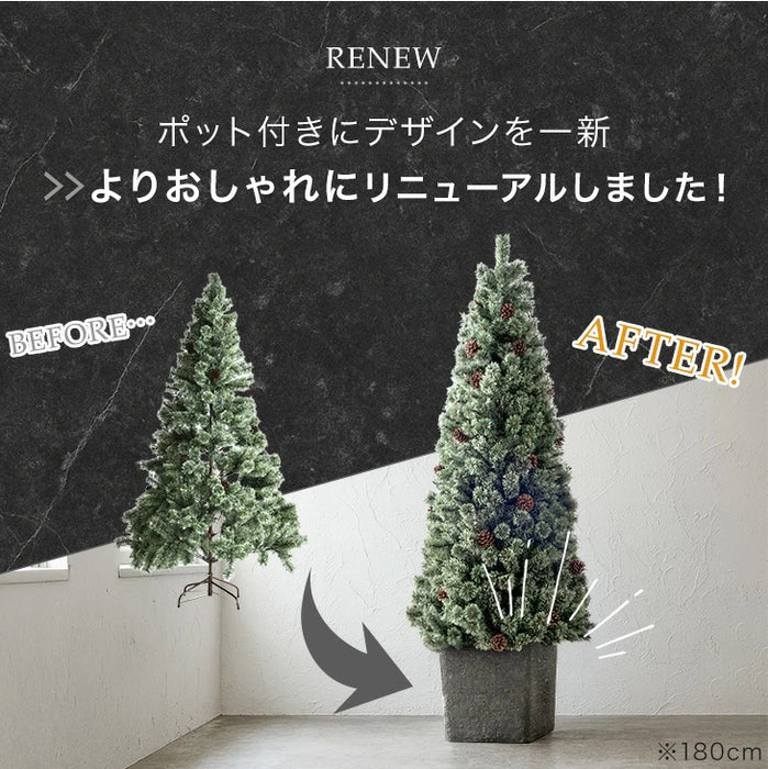 ゆず　クリスマスツリー ゆず クリスマスツリー HAPPY CHISTMAS🎄♪ ✮⋆˙ ・ ・ 銀座