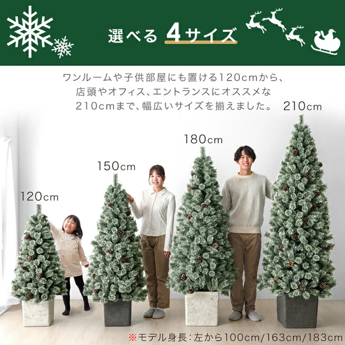 ［150cm］RENEW ヌードツリー 石目調 ポット付き 松ぼっくり付 クリスマスツリー リアル〔16900037〕