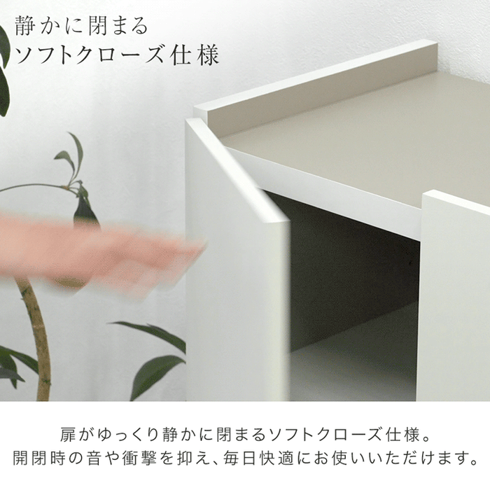 ［幅75cm］シューズボックス 国産 完成品 ロータイプ 大容量 可動棚 扉 日本製 大川家具〔17000005〕