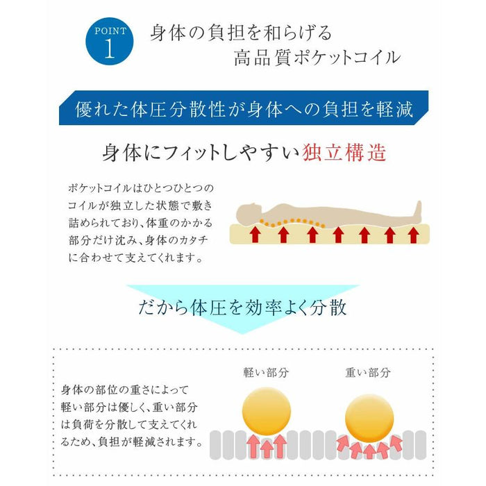 寝顔が見れる 二段ベッド マットレス付き 2枚 高さ3段階 コンセント シングル対応 分割可能 コンパクト ロータイプ【超大型商品】〔99993087〕