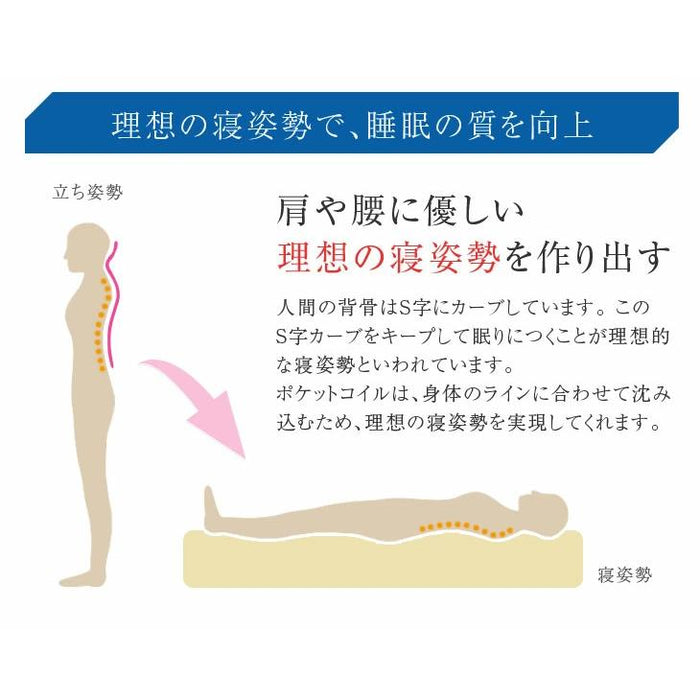 寝顔が見れる 二段ベッド マットレス付き 2枚 高さ3段階 コンセント シングル対応 分割可能 コンパクト ロータイプ【超大型商品】〔99993087〕