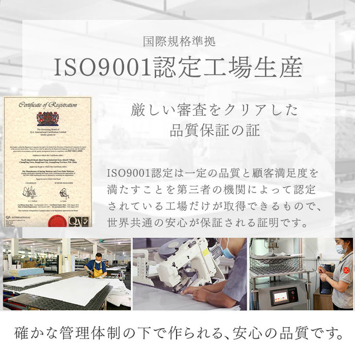 ［シングル］宮棚＆2口コンセント 脚付きマットレス ボンネルコイル エコテックス 一体型〔17800209〕