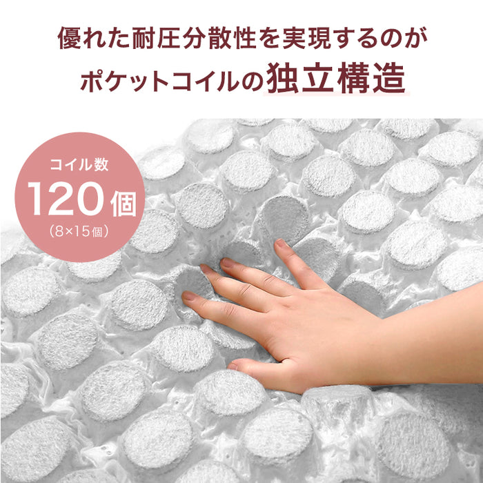 寝落ち姫の足枕 ポケットコイル＆低反発 枕 洗えるカバー 独自構造 防ダニ 抗菌 高さ調整〔17810134〕