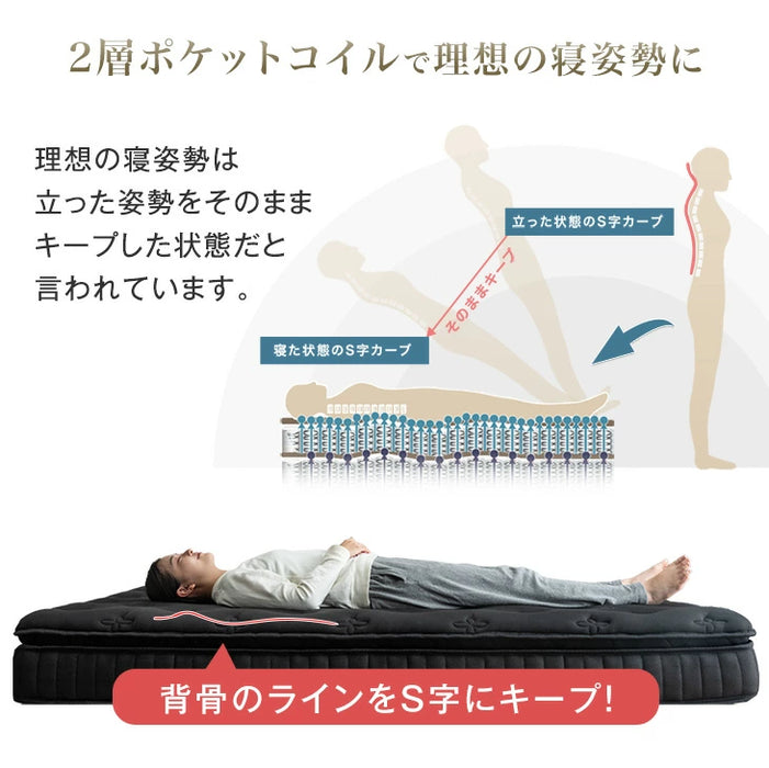 [シングル] 贅沢2層 ポケットコイルマットレス 極厚22cm 高反発ウレタン 抗菌 防臭〔17810160〕