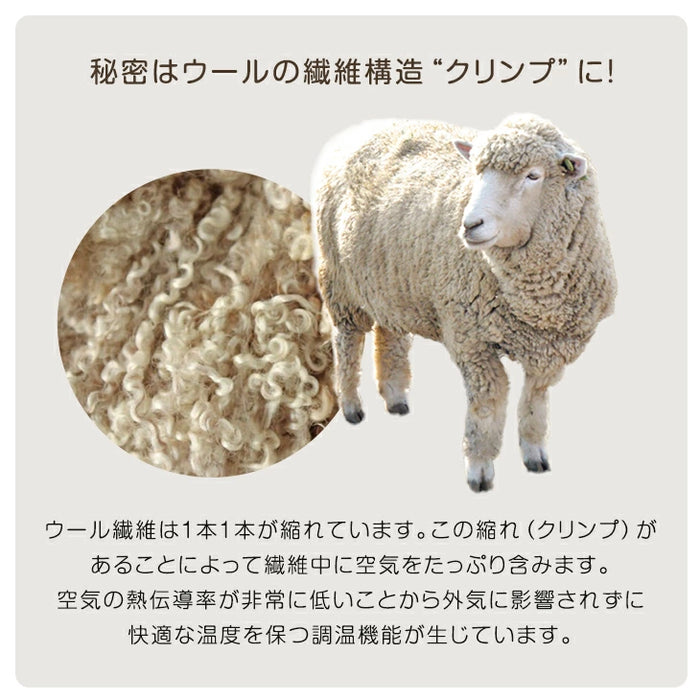 ［2枚セット］RENEW ベッドにぴったり 国産 3層敷布団 コンパクト 羊毛混 綿100％ 抗菌 防臭 小さめ 日本製 軽量 3層 2段ベッド用〔18510034〕