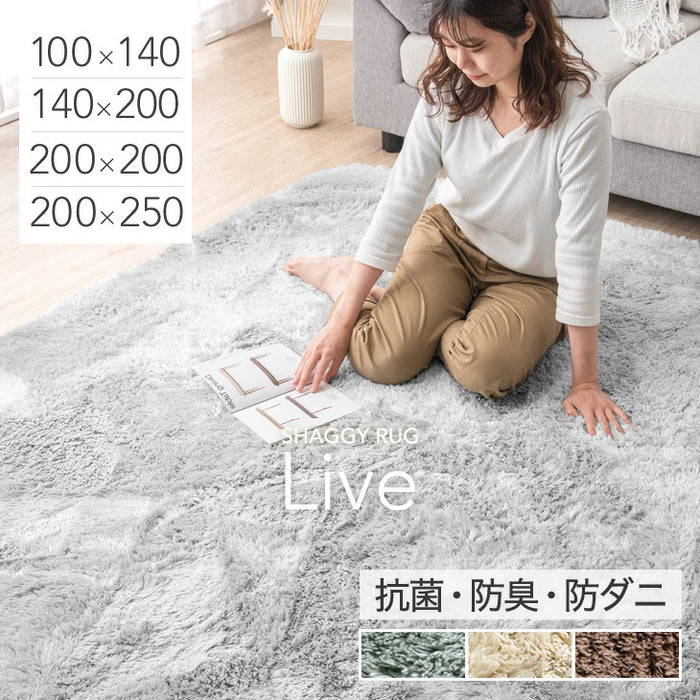 カーペット ラグマット 250×200cm　滑り止め付 洗えるラグ 抗菌 防音絨毯 長方形 ライトグレー 洗えるラグマット 200×250cm 長方形 滑り止め付 ホットカーペット対応