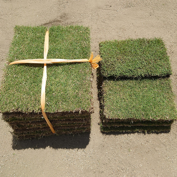 産地直送 高麗芝 or 姫高麗芝 天然芝 1.5平米 日本製 DIY 国産