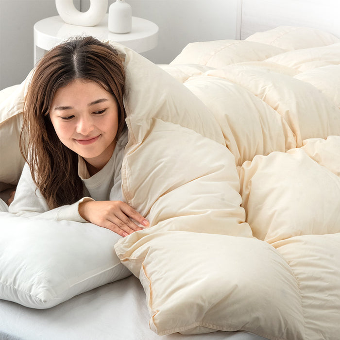 クリアランス】[セミダブル] 大増量1.6kg 羽毛布団 ホワイトグース