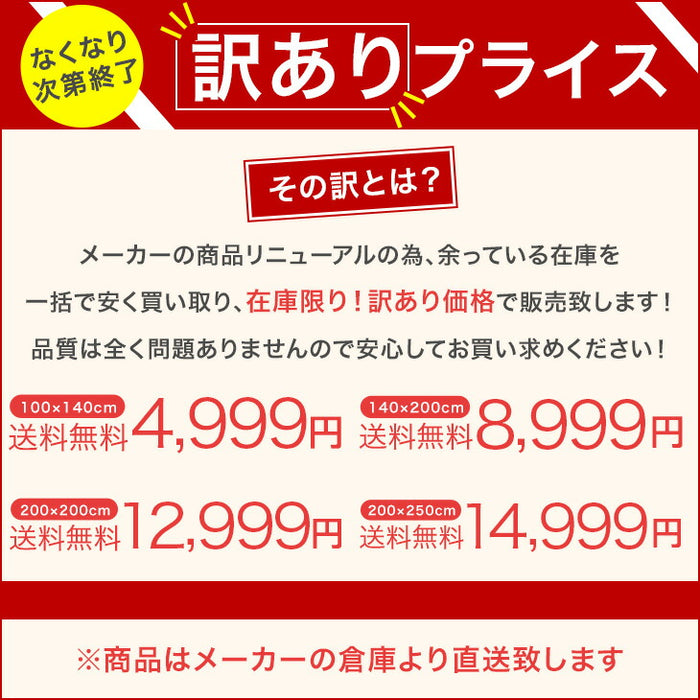 [200×200㎝]【在庫限り！訳あり価格】 手織り キリムラグ インド綿100%〔20010010〕