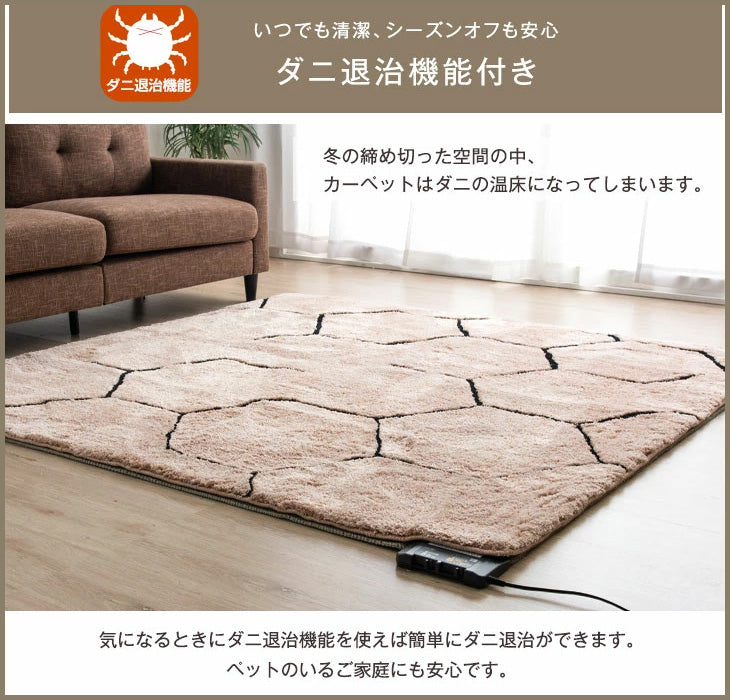 4畳 2点セット ラグ 200×300cm + ホットカーペット 195×290cm〔21700029〕