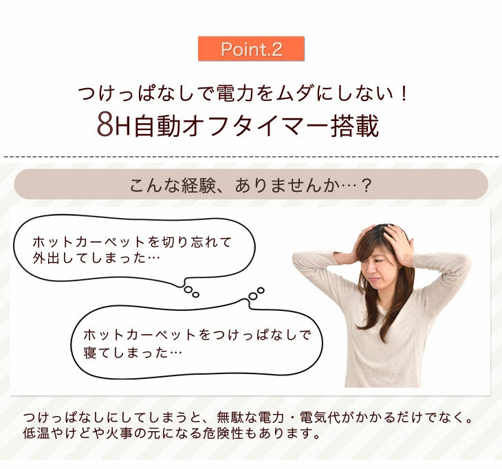 4畳 2点セット ラグ 200×300cm + ホットカーペット 195×290cm〔21700029〕