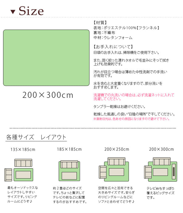 4畳 2点セット ラグ 200×300cm + ホットカーペット 195×290cm〔21700029〕