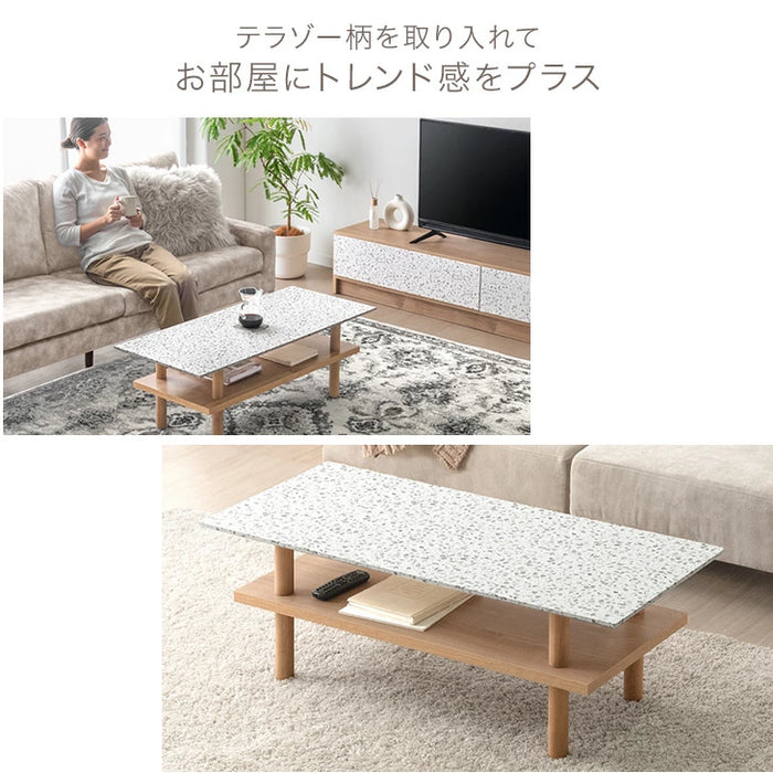 【G】S.21 (TERRAZZO) センターテーブル Terrazzo Table
