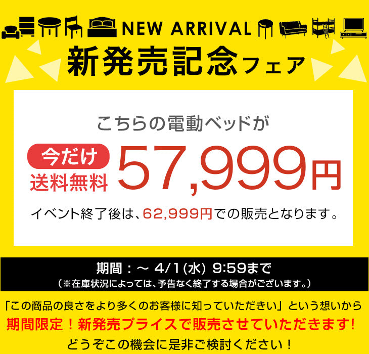 【新発売記念プライス】宮付き電動ベッド シングル フレーム単品 2モーター リクライニング 介護ベッド 北欧 おしゃれ【搬入設置込み】【超大型商品】〔99900224〕