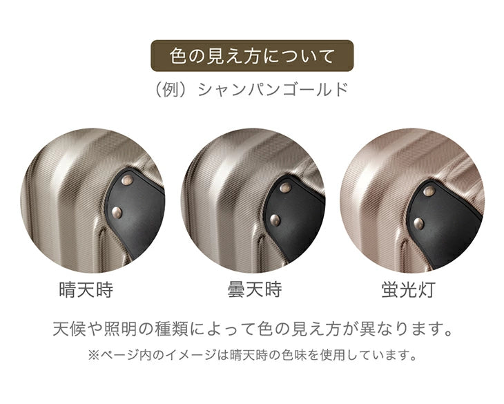 スーツケース Lサイズ マチアップ機能付 軽量 キャスター TSAロック キャリーケース シンプル 旅行 出張〔33500011〕