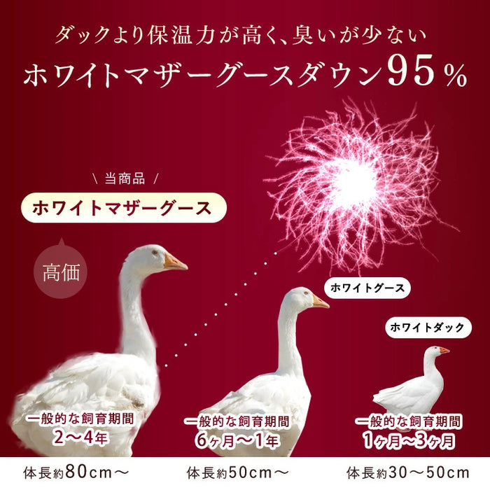 【BF限定プライス】[セミダブル] 羽毛布団 超増量1.7kg 日本製 マザーグースダウン95％ CILブラックラベル 二層キルト 440dp以上 かさ高180mm以上 超長綿 7年保証 〔39100123〕