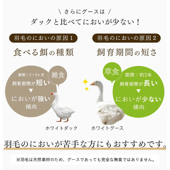 [シングル] コインランドリーで洗える羽毛布団 ホワイトグースダウン93％ CILゴールドラベル 30マス立体キルト 400dp以上 かさ高165mm以上 7年保証 日本製 ウォッシャブル  〔39100153〕