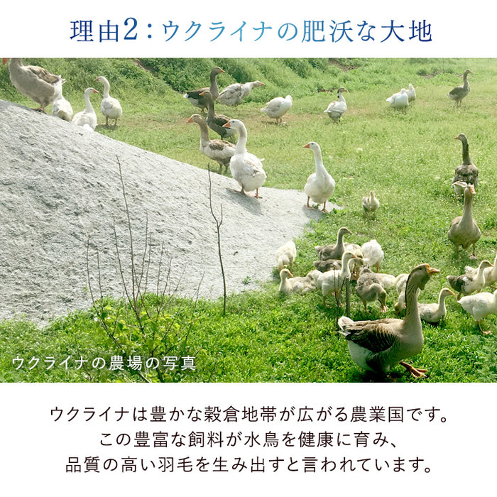 ウクライナ支援】[ダブルロング] 羽毛布団 日本製 増量1.7kg ホワイト