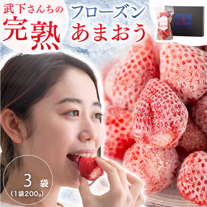 [3袋] 武下さんちの冷凍“完熟”あまおう いちご 国産 福岡 小分け フローズン フルーツ トッピング おやつ グルメ〔89600020〕