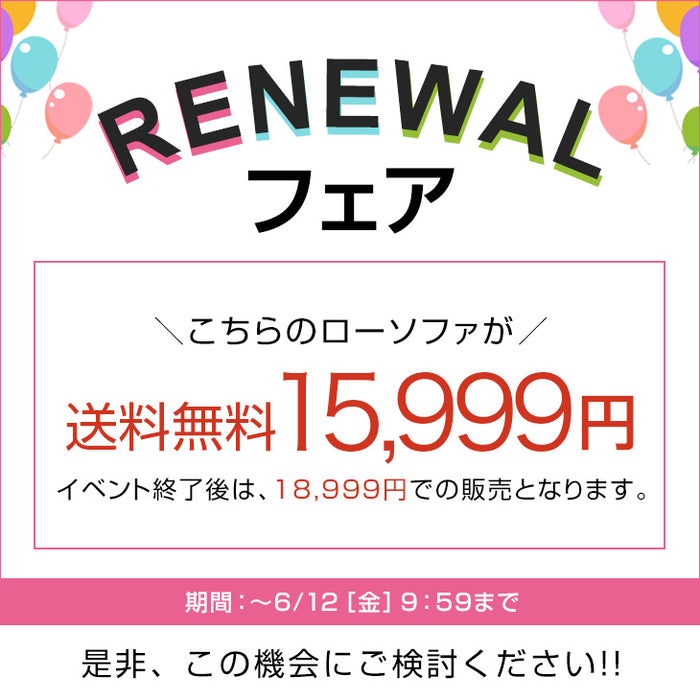 【リニューアル記念プライス】リクライニングソファ 左右独立 2人掛け ローソファ フロアソファ〔15200136〕