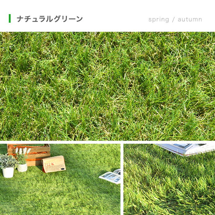 ベランダにお勧め! スリム 高密度リアル 人工芝 芝生 0.5m×10m 芝丈35mm 高密度 幅50cm ロール U字ピン12本 付き〔50900084〕
