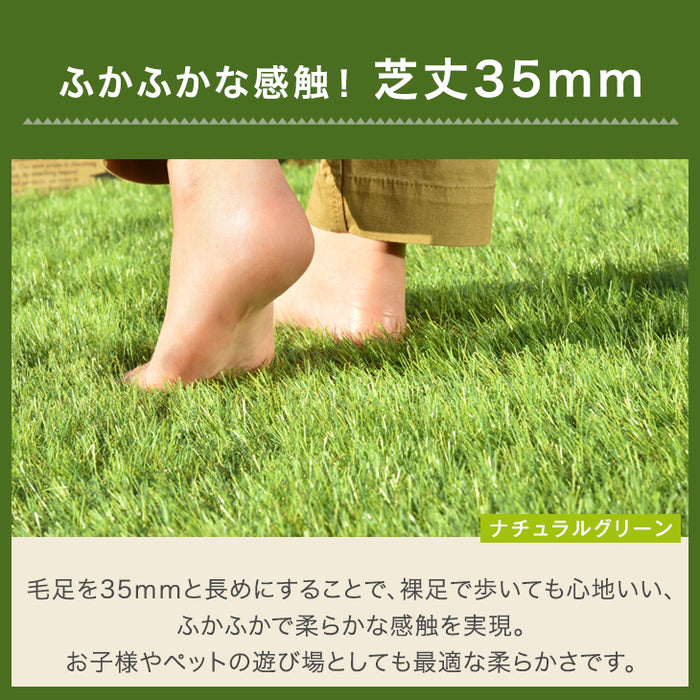 ベランダにお勧め! スリム 高密度リアル 人工芝 芝生 0.5m×10m 芝丈35mm 高密度 幅50cm ロール U字ピン12本 付き〔50900084〕