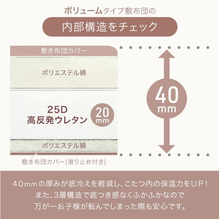 【対応こたつサイズ：幅105-120×奥行75-90cm】とろりん こたつ布団 ボリュームタイプ 掛敷2点セット 何度も洗える 防臭 大判 掛け布団 敷布団〔91300168〕