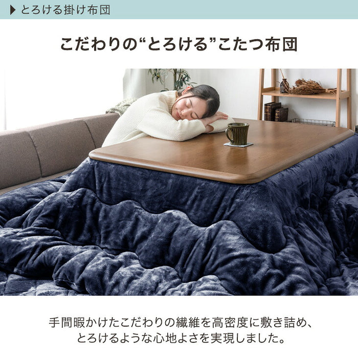 【対応こたつサイズ：幅105-120×奥行75-90cm】とろりん こたつ布団 ボリュームタイプ 掛敷2点セット 何度も洗える 防臭 大判 掛け布団 敷布団〔91300168〕