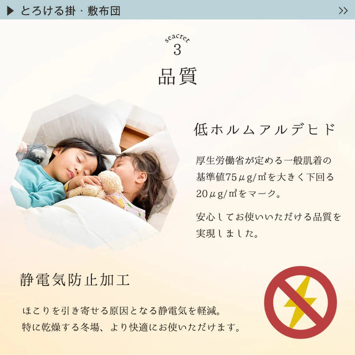 【対応こたつサイズ：幅105-120×奥行75-90cm】とろりん こたつ布団 ボリュームタイプ 掛敷2点セット 何度も洗える 防臭 大判 掛け布団 敷布団〔91300168〕